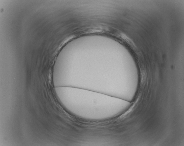 X0000066081353200603311925