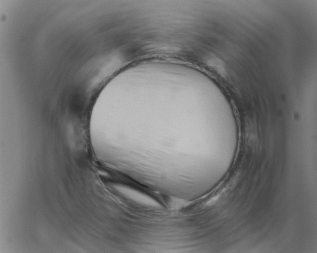 X0000066081354200603311925