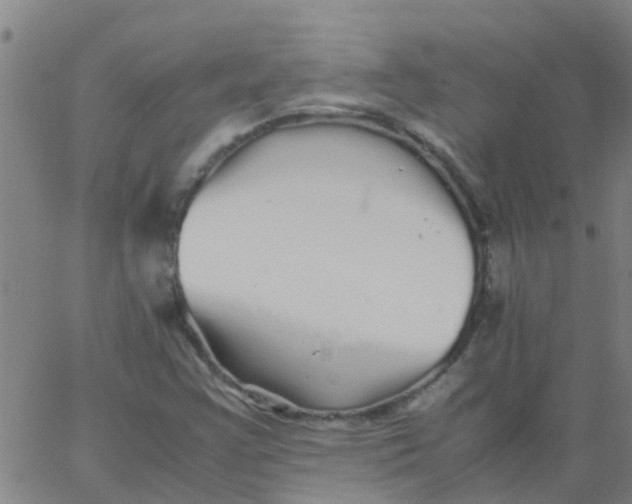 X0000066081355200603311925