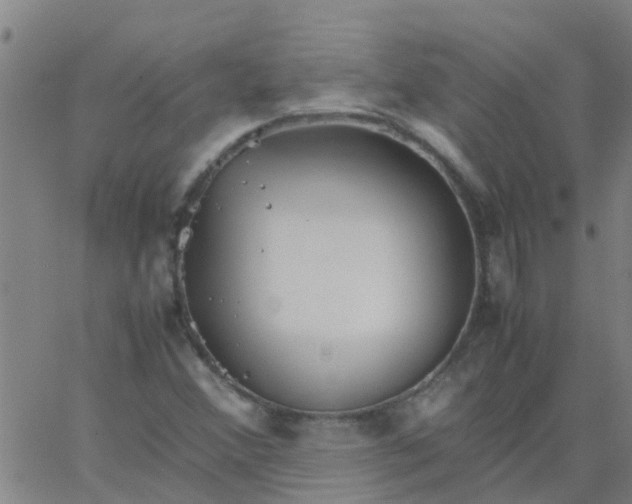 X0000066081356200603311925