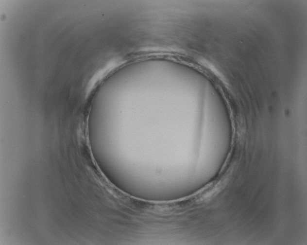 X0000066081357200603311925