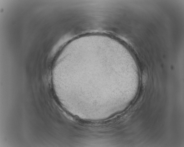 X0000066081359200603311925