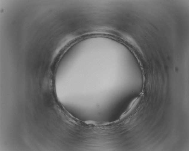 X0000066081360200603311925