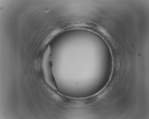 X0000066081361200603311925