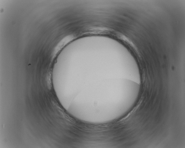 X0000066081362200603311924