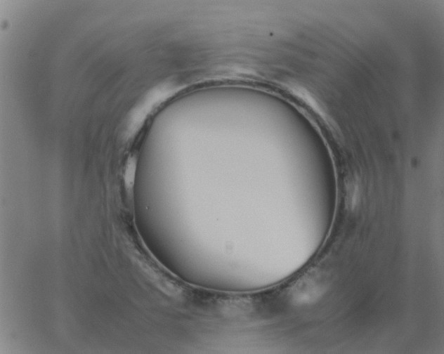 X0000066081363200603311924