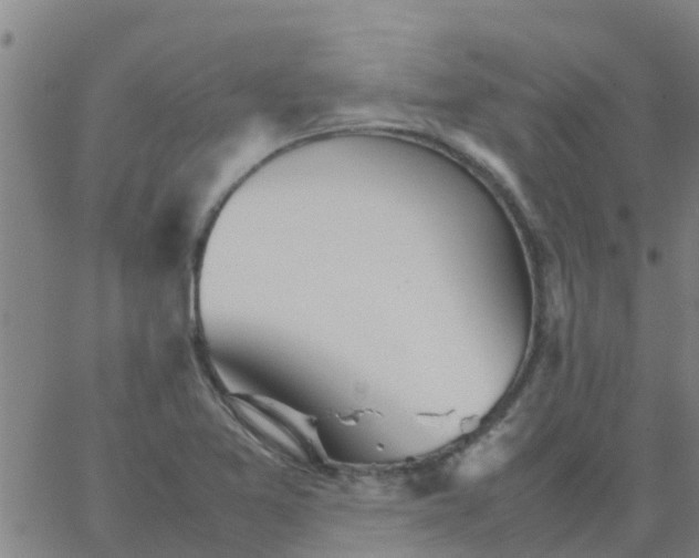 X0000066081365200603311924