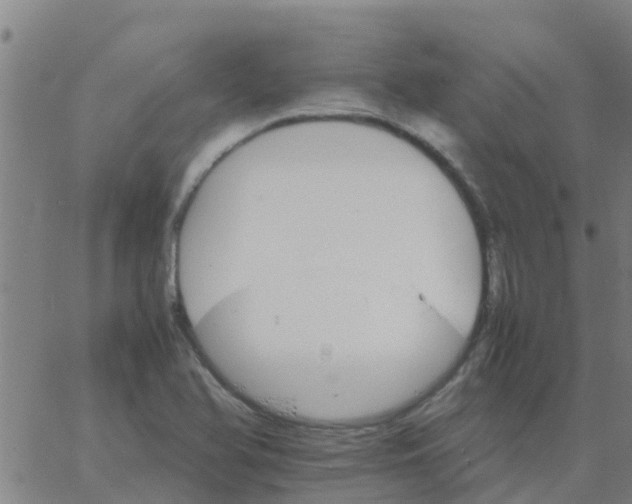 X0000066081366200603311924