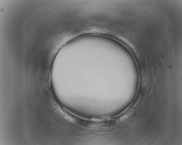 X0000066081367200603311924