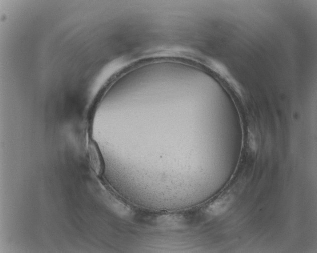 X0000066081368200603311924