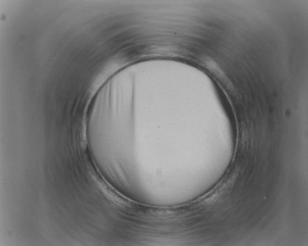 X0000066081370200603311924