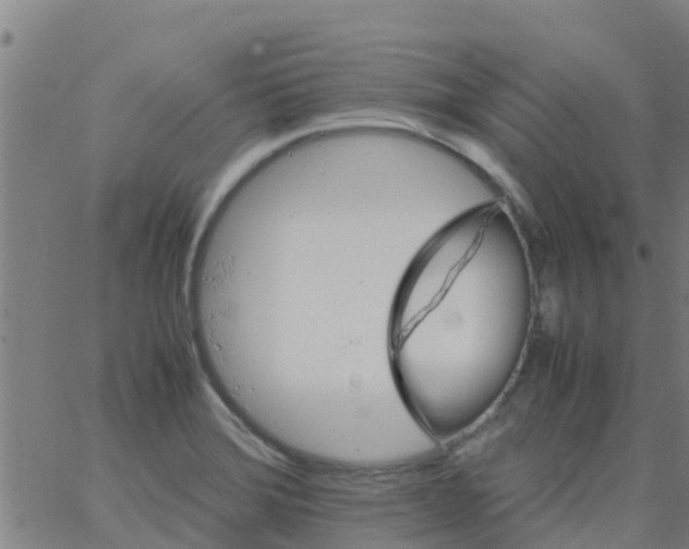 X0000066081372200603311924