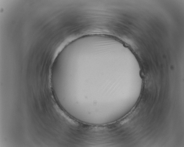 X0000066081374200603311924