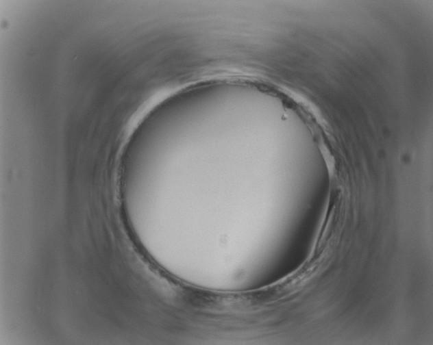 X0000066081375200603311924