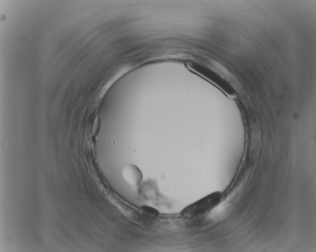 X0000066081377200603311924