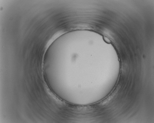 X0000066081378200603311924