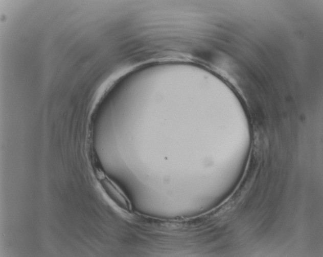 X0000066081379200603311924