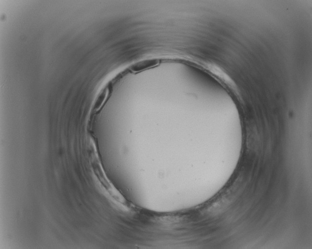 X0000066081380200603311924