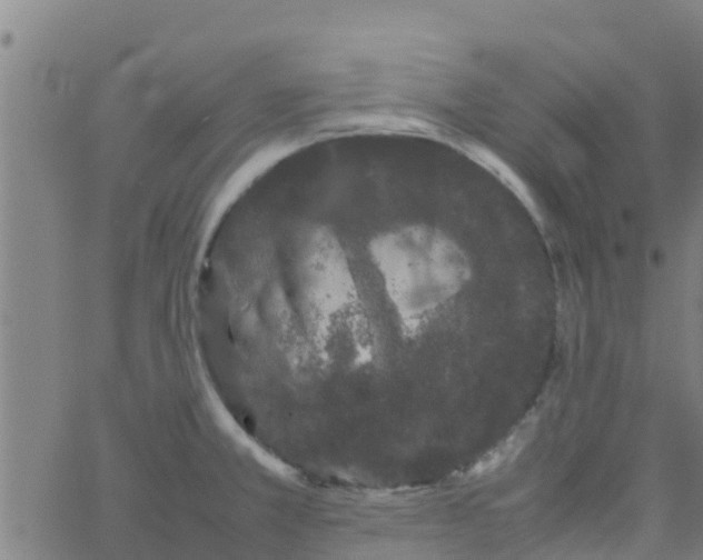 X0000066081381200603311924