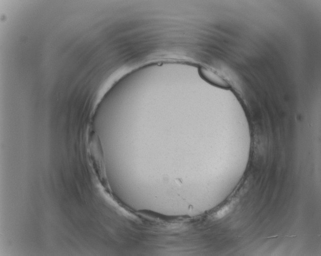 X0000066081382200603311924