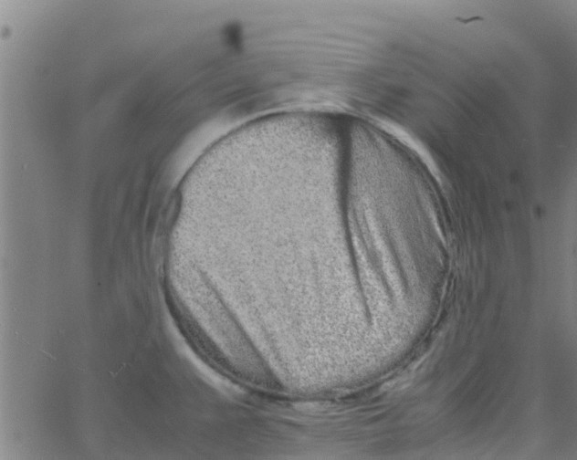 X0000066081383200603311924