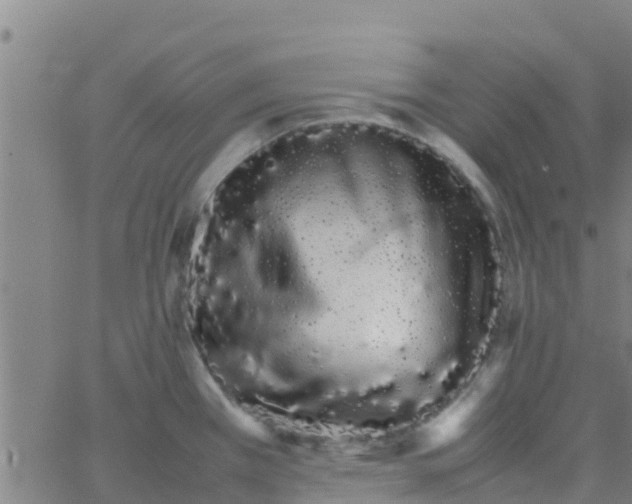 X0000066081385200603311924