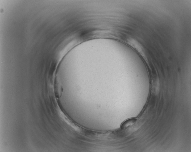 X0000066081386200603311924