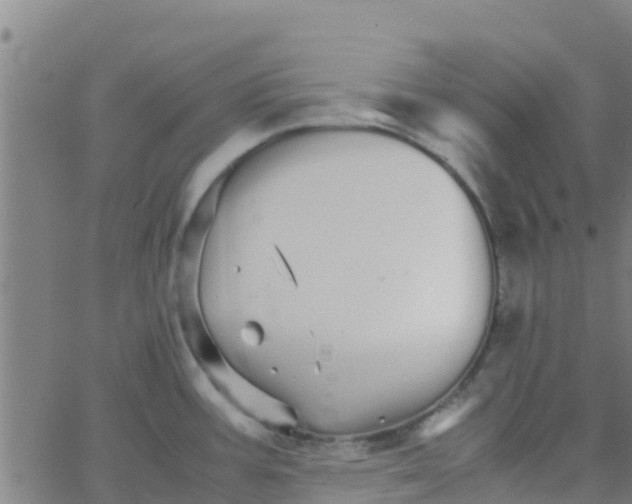 X0000066081387200603311924