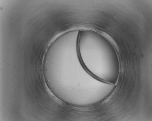 X0000066081388200603311924