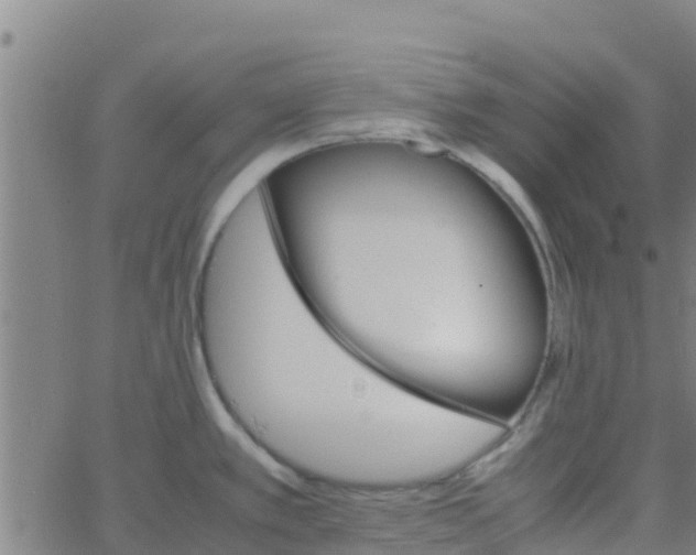 X0000066081389200603311924