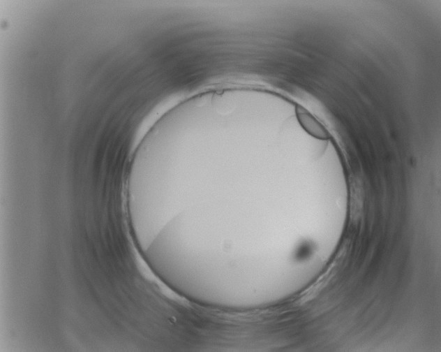 X0000066081390200603311924