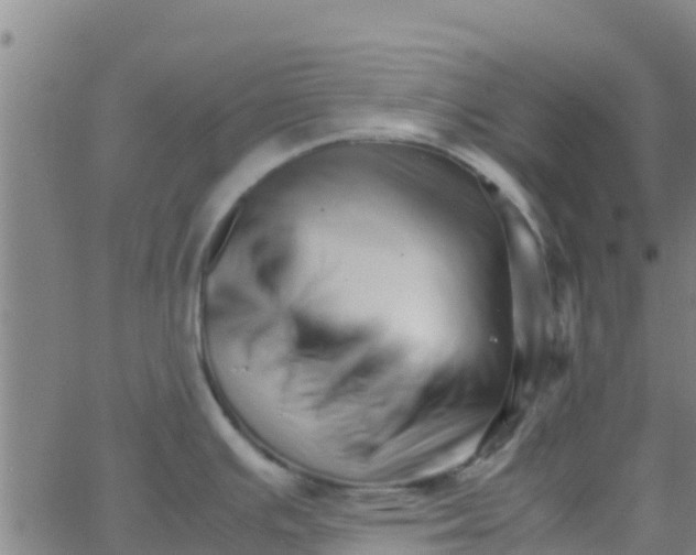 X0000066081391200603311924