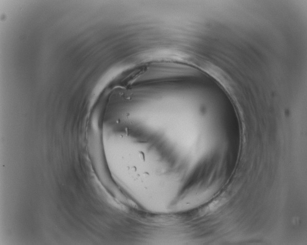 X0000066081392200603311924