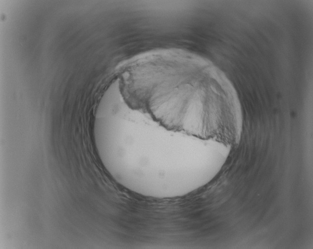 X0000066081393200603311923