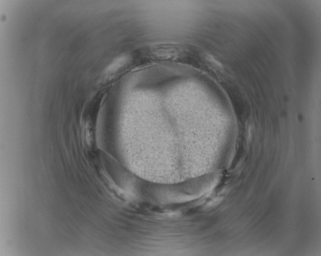 X0000066081394200603311923