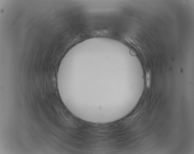 X0000066081395200603311923