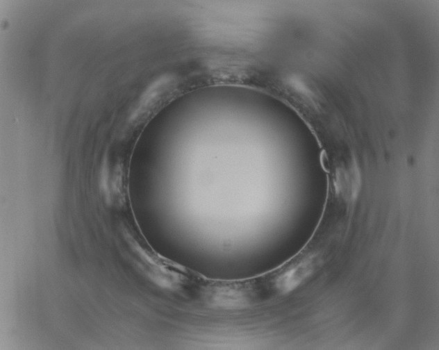 X0000066081396200603311923