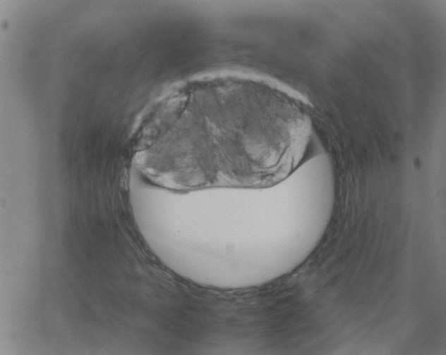 X0000066081397200603311923