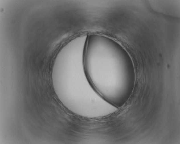 X0000066081398200603311923