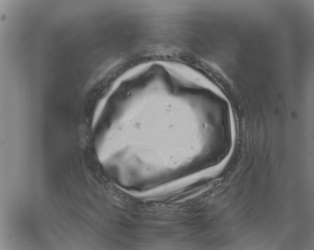 X0000066081399200603311923