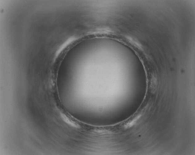 X0000066081400200603311923