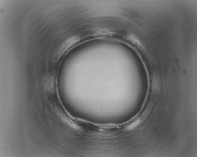 X0000066081401200603311923