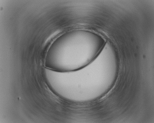 X0000066081402200603311923