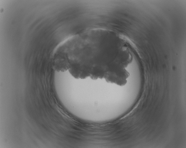 X0000066081403200603311923