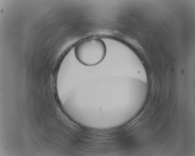 X0000066081404200603311923