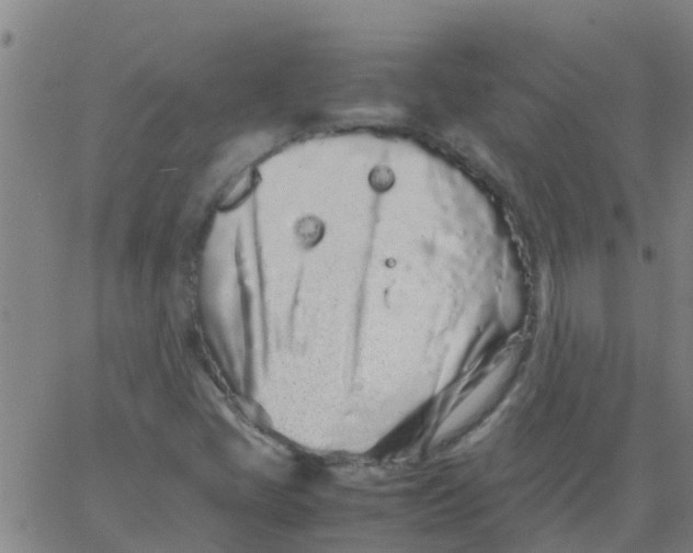 X0000066081405200603311923