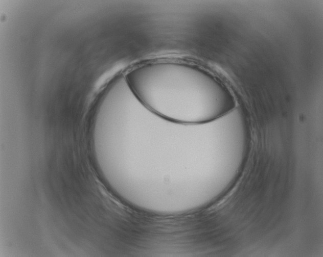 X0000066081406200603311923