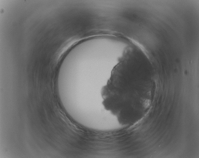 X0000066081407200603311923