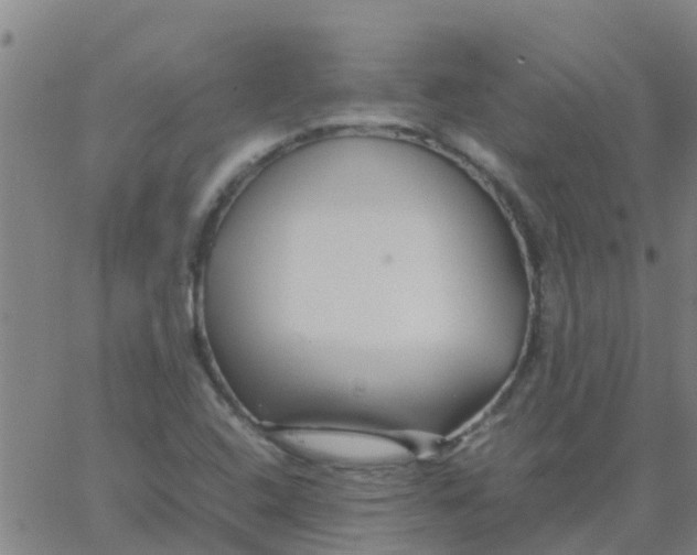 X0000066081408200603311923