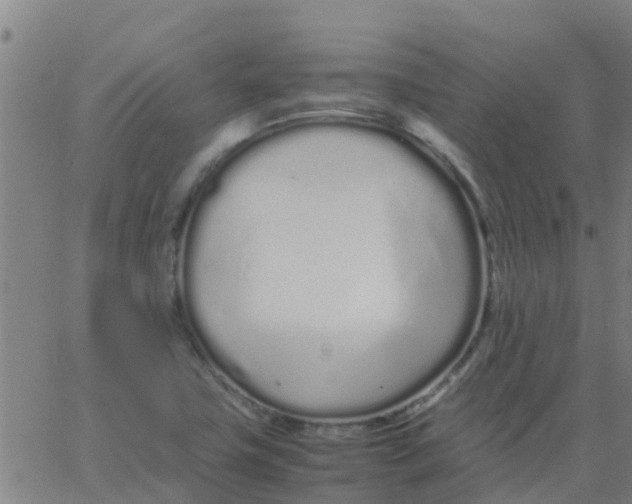 X0000066081411200603311924